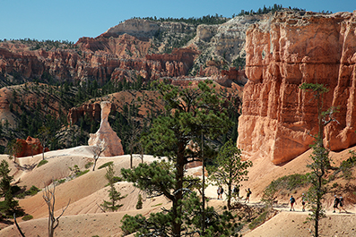 Bryce Canyon : Utah : Landscape Photos : Richard Moore : Photographer
